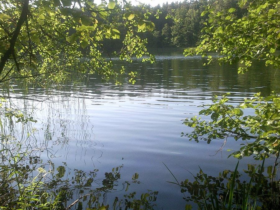 Jezioro w Dębnie