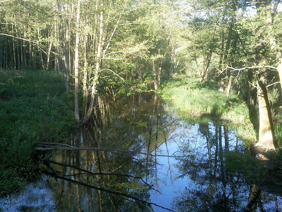 Rzeka