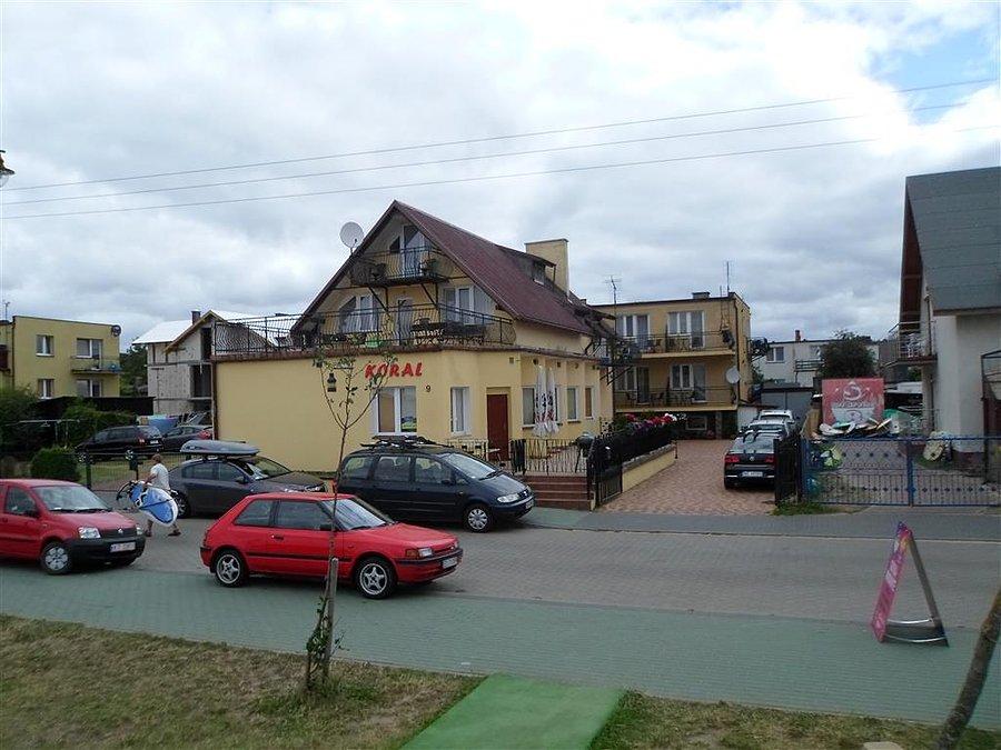 Koral w Chałupach