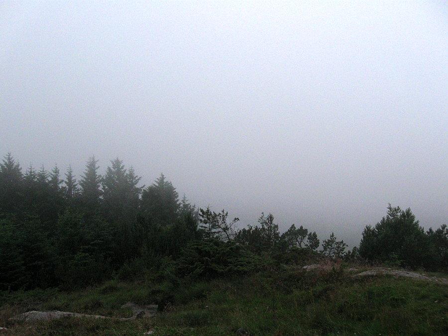 Dzisiejsze widoki