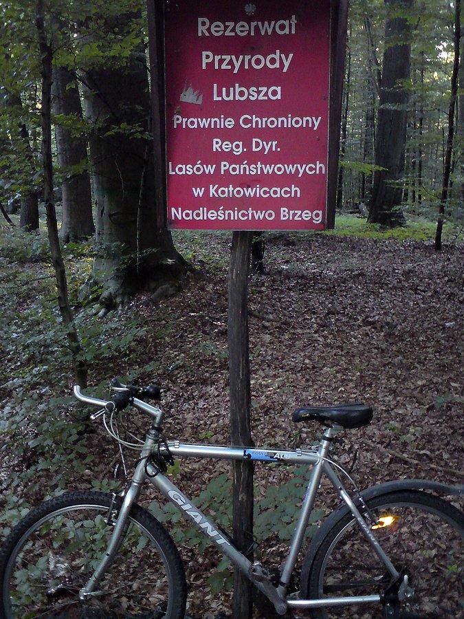 Rezerwat Przyrody "Lubsza"