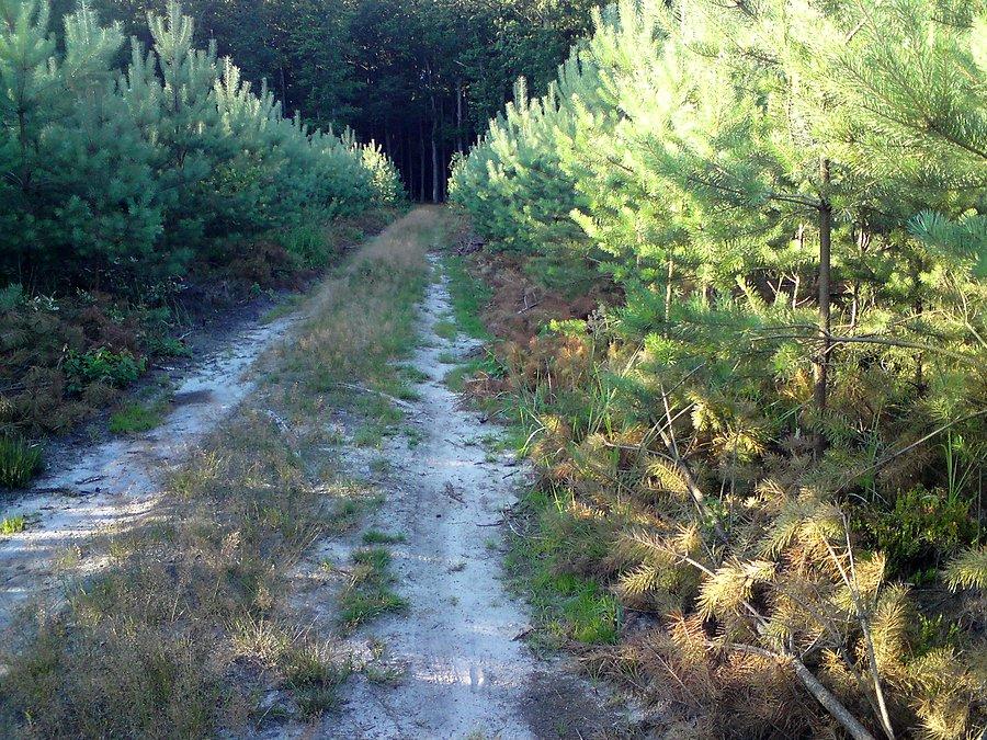 Stobrawski Park Krajobrazowy