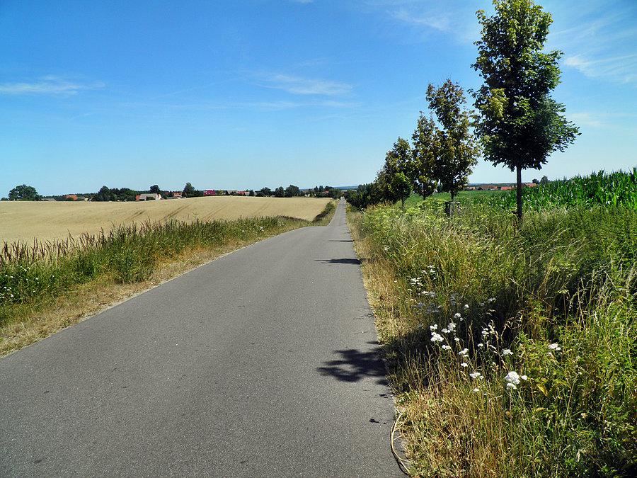 Falista droga Grünhof - Pampow