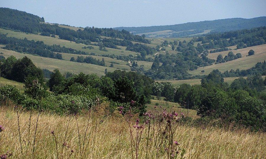 Widok z przełęczy na drogę w stronę granicy - stamtąd przyjechałem