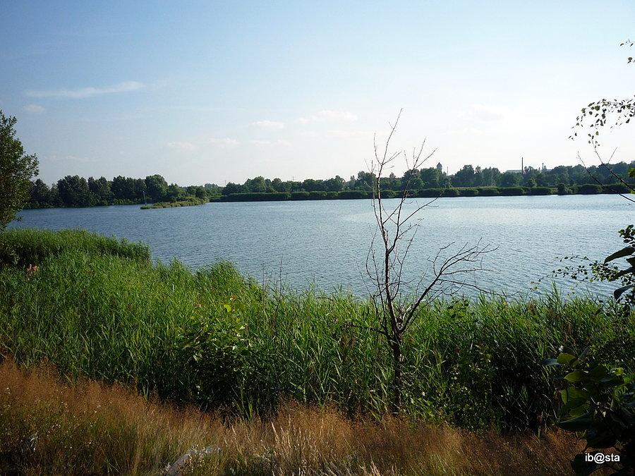 Staw Hubertus
