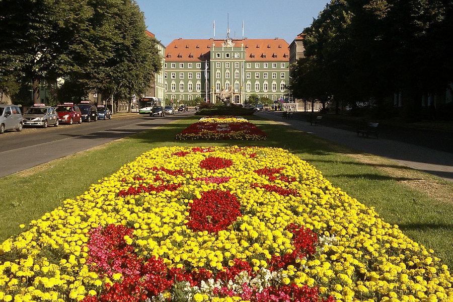 Urząd Miejski w Szczecinie, lato 2013