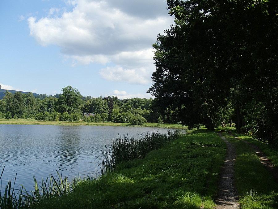 Staw Kąpielnik