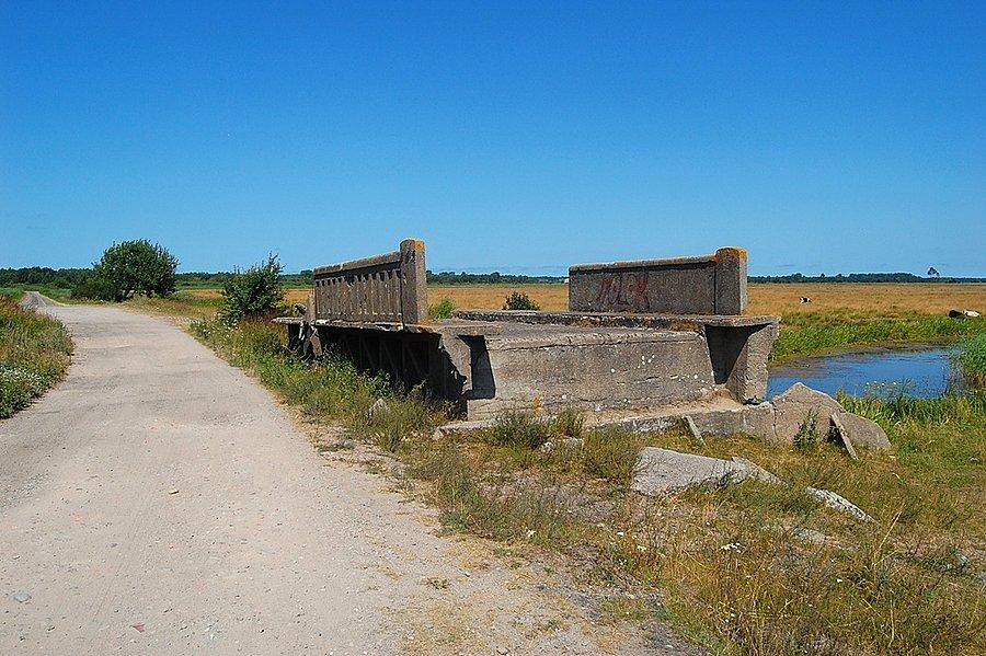Ruiny mostku na starorzeczu Regi