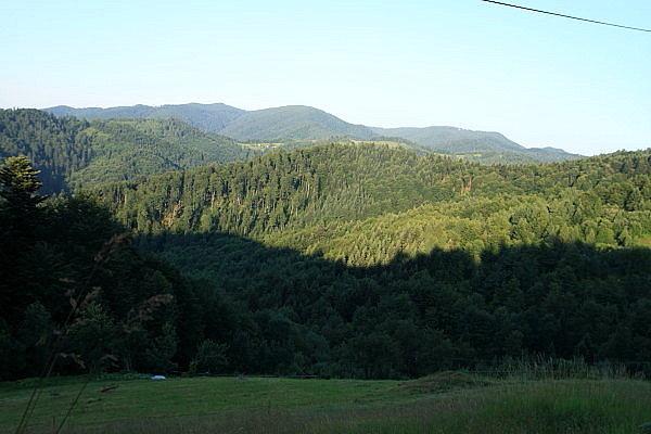 Widok w kierunku Przehyby
