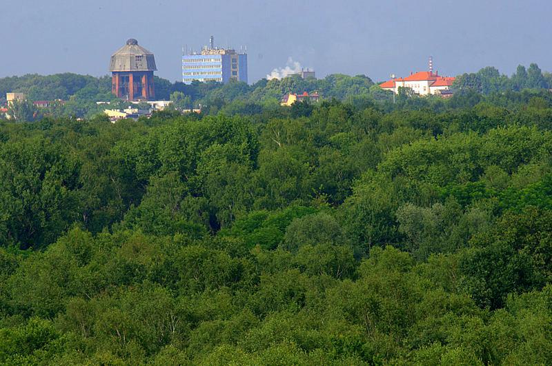 Widok z hałdy w Sośnicy w kierunku Zaborza
