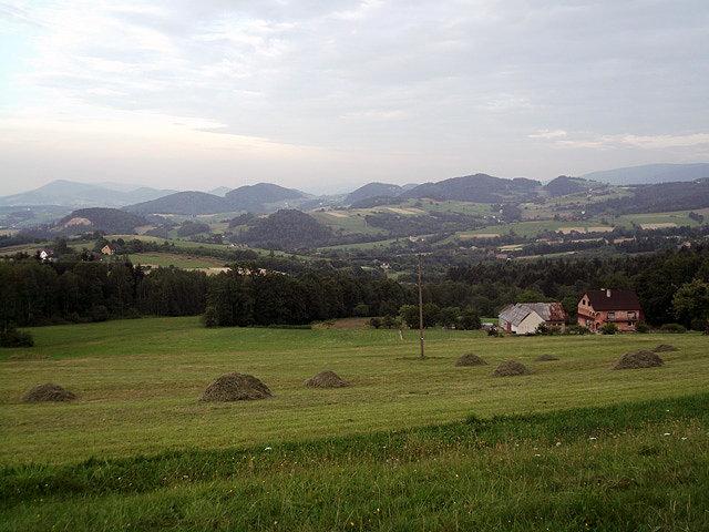 Standarowe zdjęcie z przeł. Wielkie Drogi (Beskid Wyspowy)