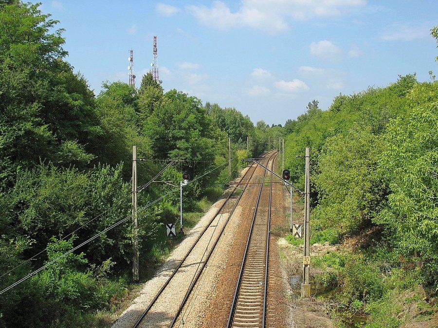 Miejsce katastrofy kolejowej pod Osieckiem