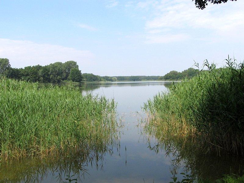 Złotniczki - Jezioro Jerzyńskie