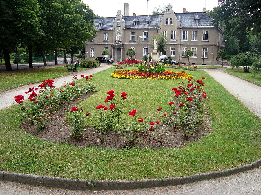Park w Koźminie, w poszukiwaniu stacji