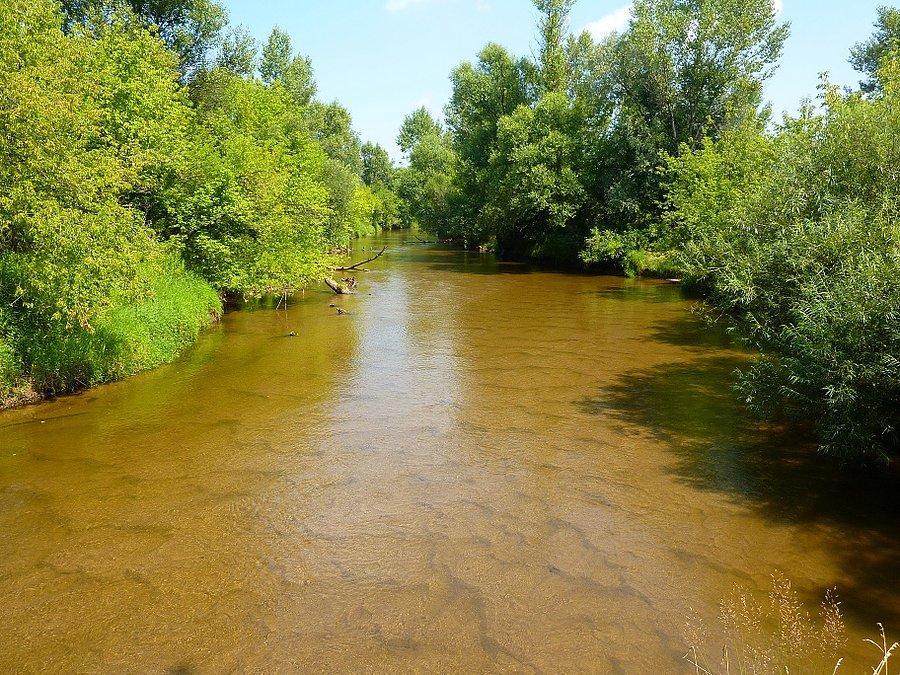 Jest gorąco więc jedziemy nad Świder