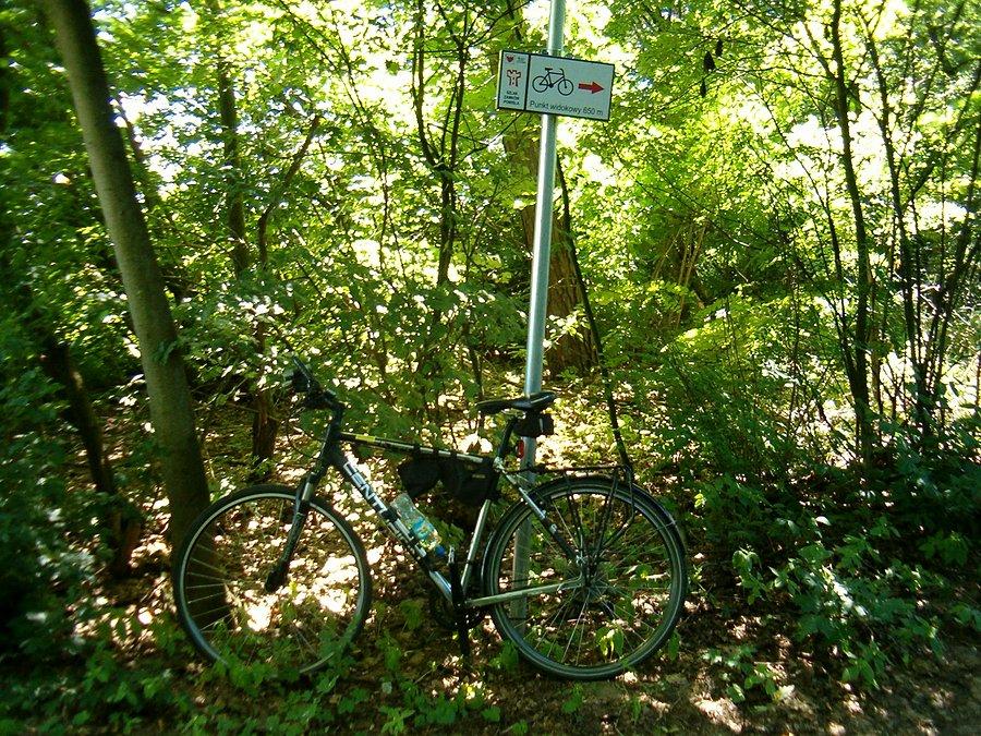 20-07-2013. Na szlaku czerwonym rowerowy zamków Powiśla, do punktu widokowego nad Nogatem