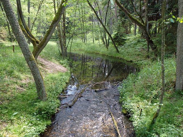 Pięknych widoków ciąg dalszy