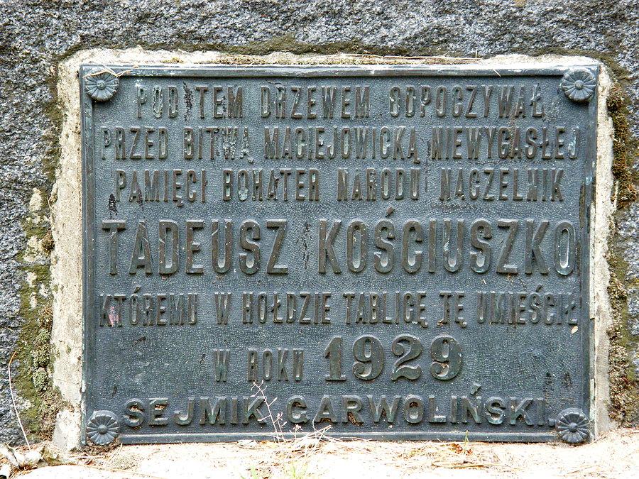 Pomnik Kościuszki/ Tablica