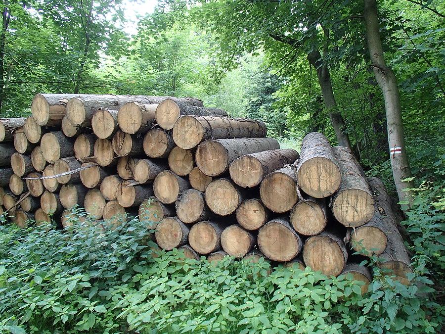 Zagrodzony czerwony szlak
