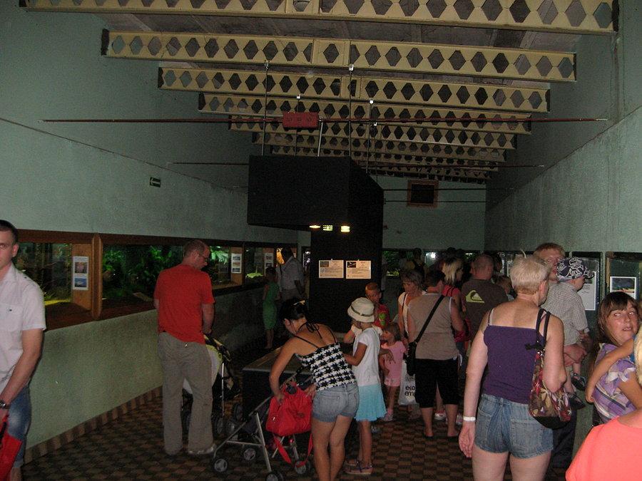 ZOO łódź, akwarium