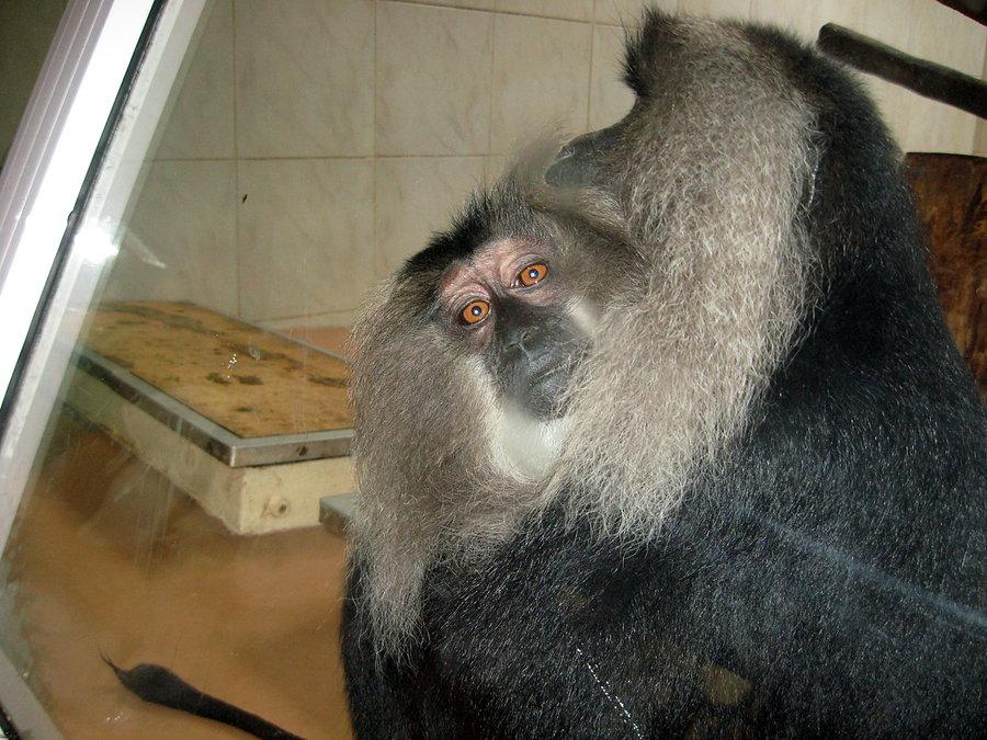 ZOO Łódź