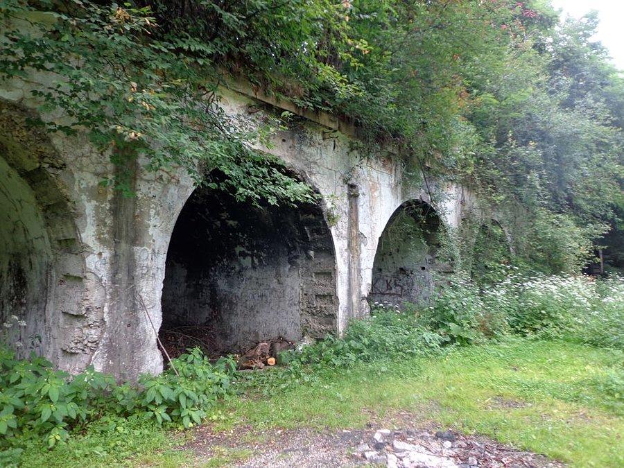 Fort V Grochowice