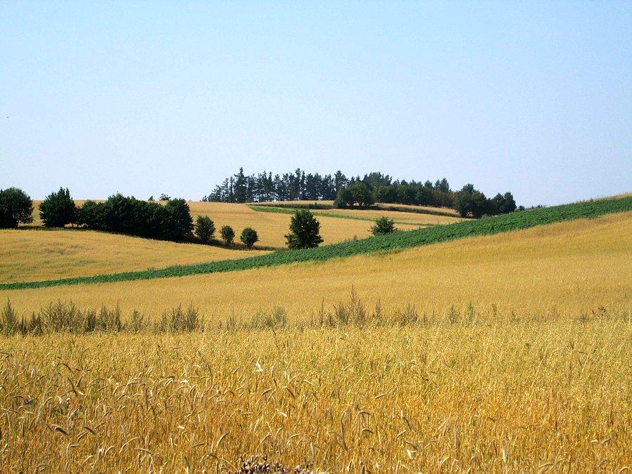 Kaszubskie pejzaże