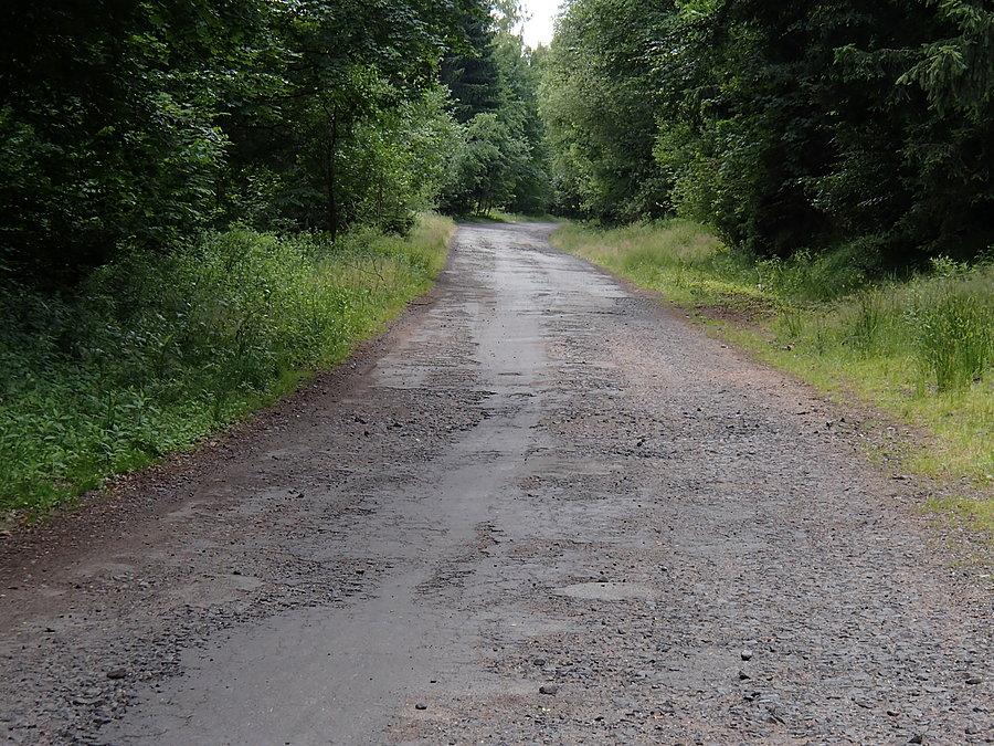 Klasyczna polska droga niedalego przełęczy Spalona