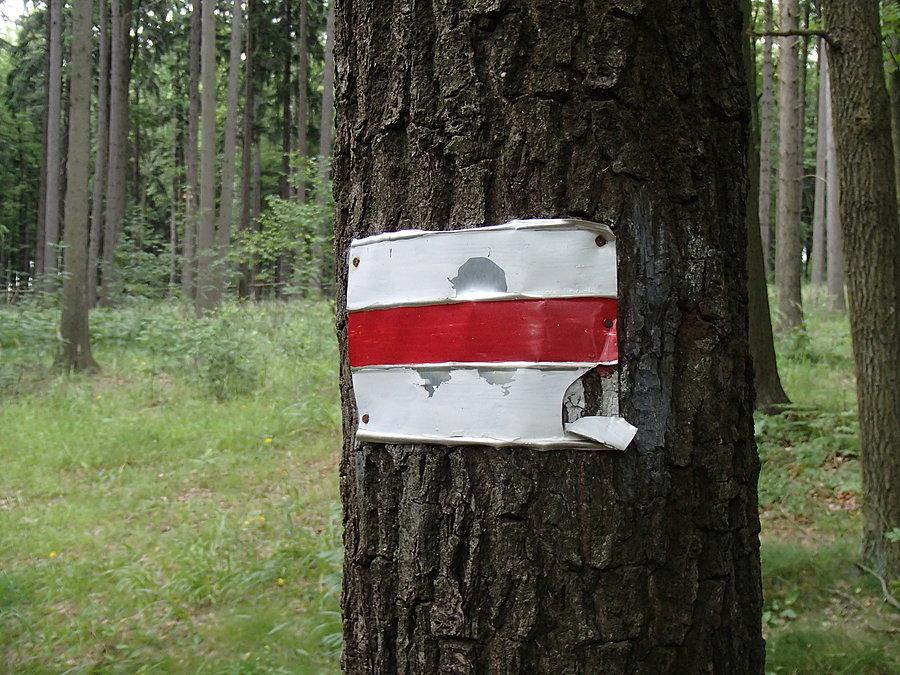 Tajemnicze aluminiowe oznaczenie szlaku