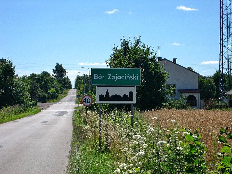 Bór Zajaciński