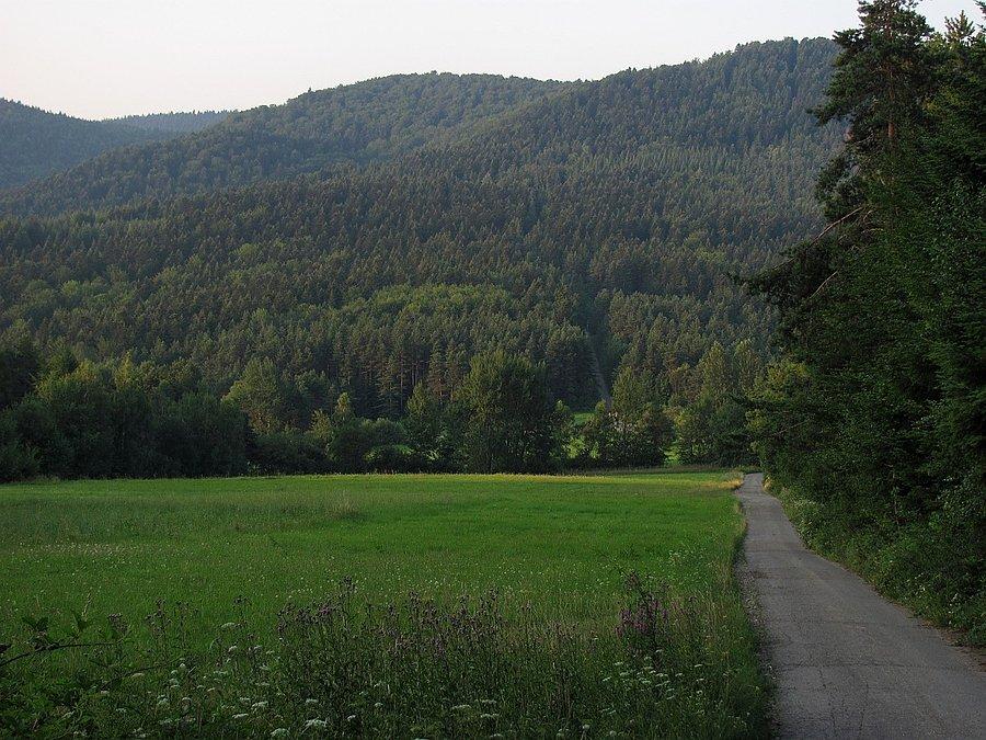 Zjazd do przełęczy