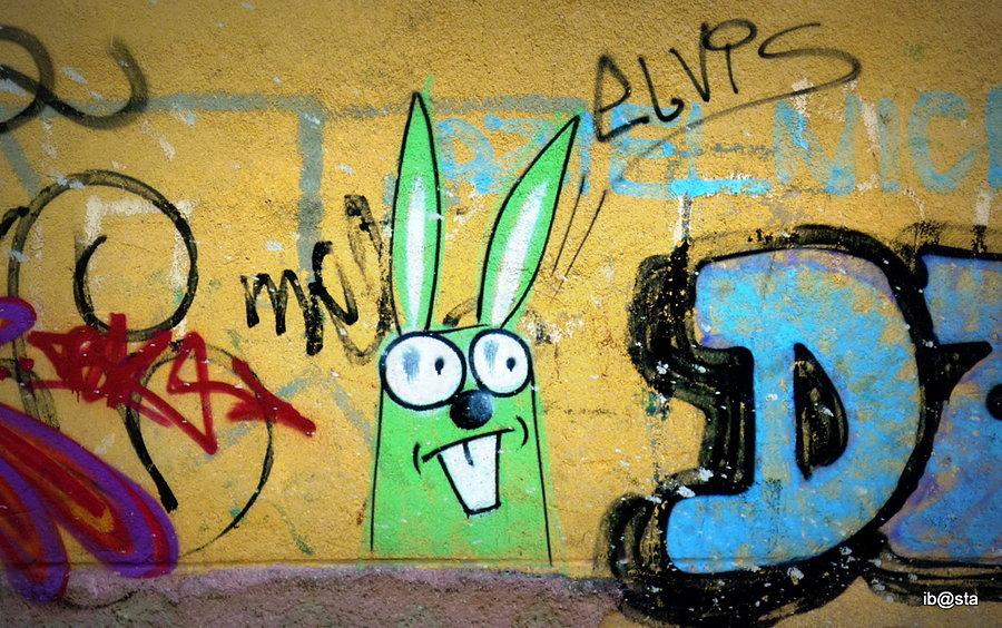 Rabbit