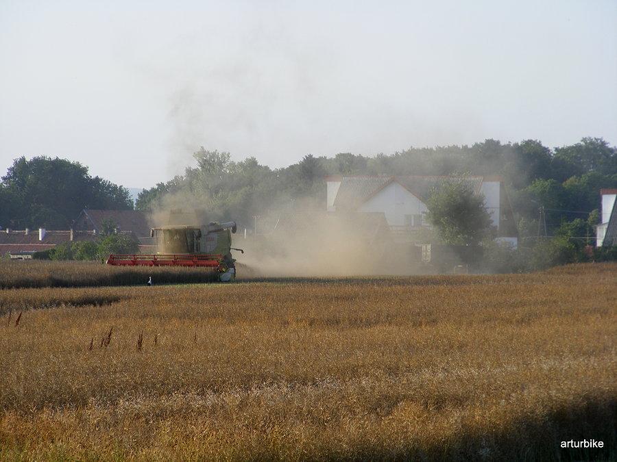 Żniwa, Równina Mazurska, okolice Pasłęka