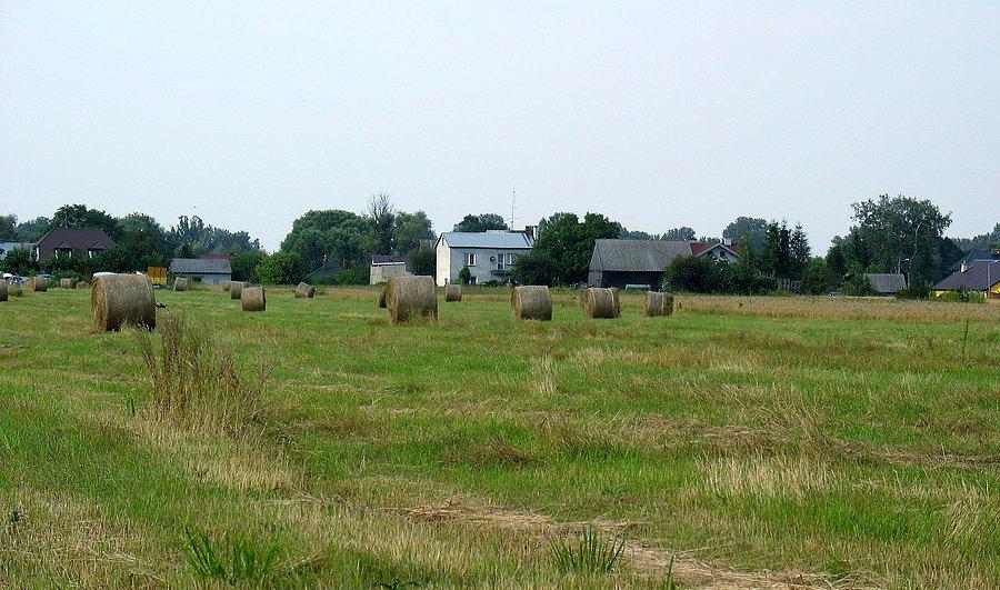 Pola pod Łomną