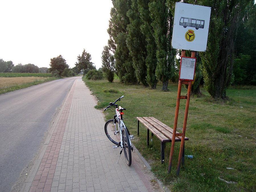 Czekając na Miłosza