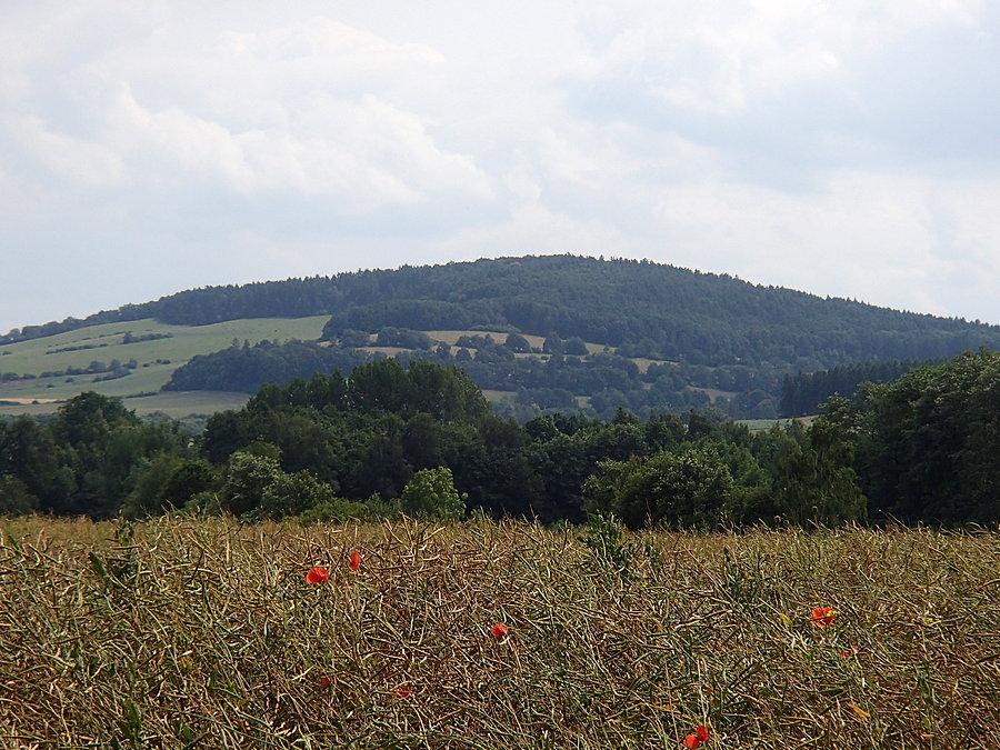 Widok na góry i pola z makami