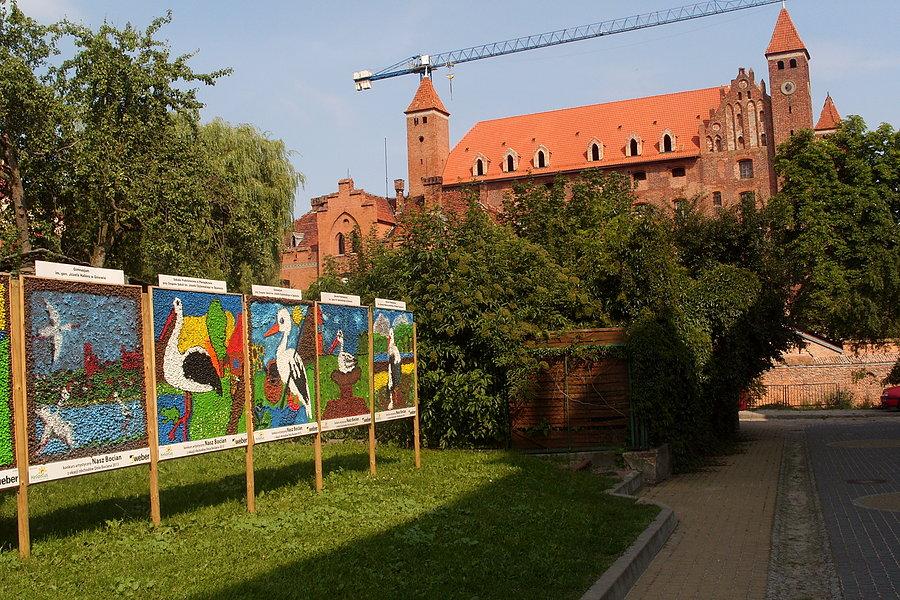 Galeria gniewskiej bocianiej rodziny
