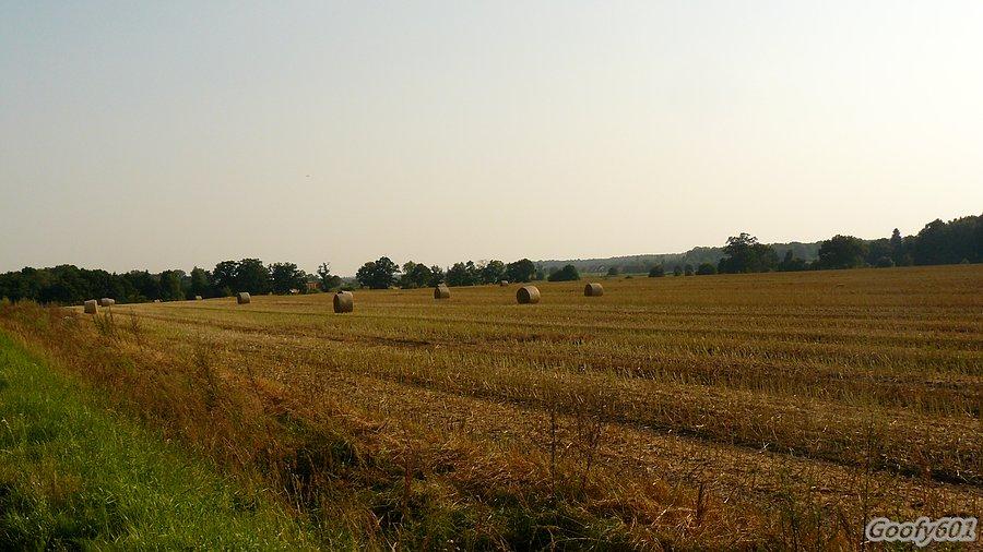 I znów krajobraz się zmienia