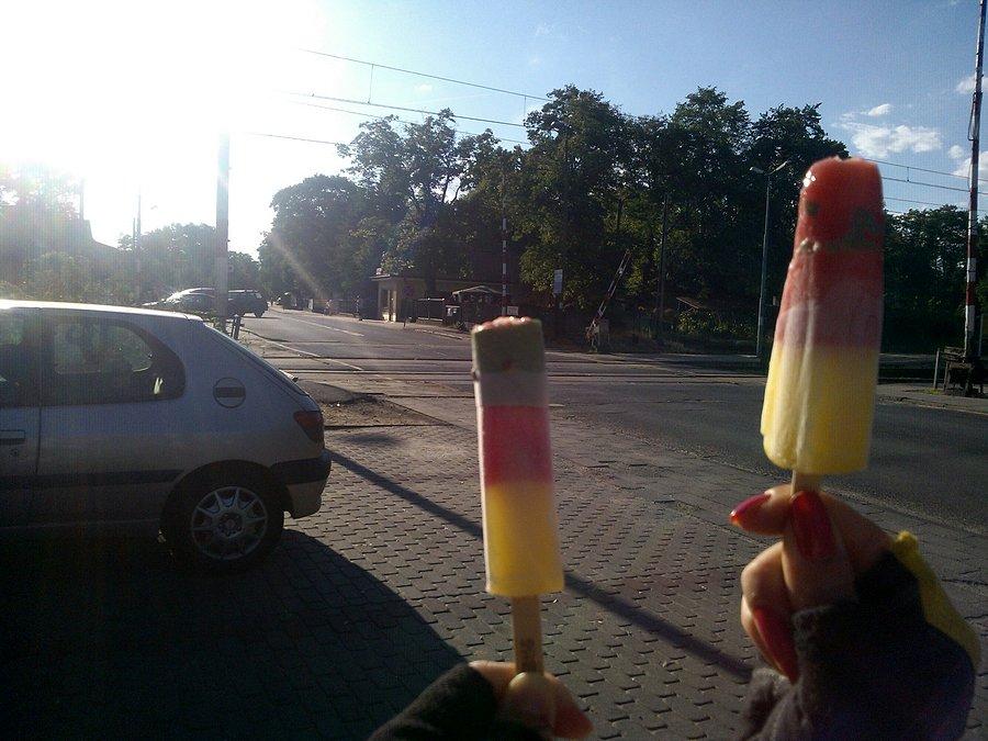 Lody w Puszczykowie