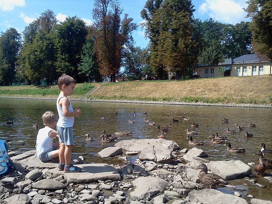 Paweł i Wojtek
