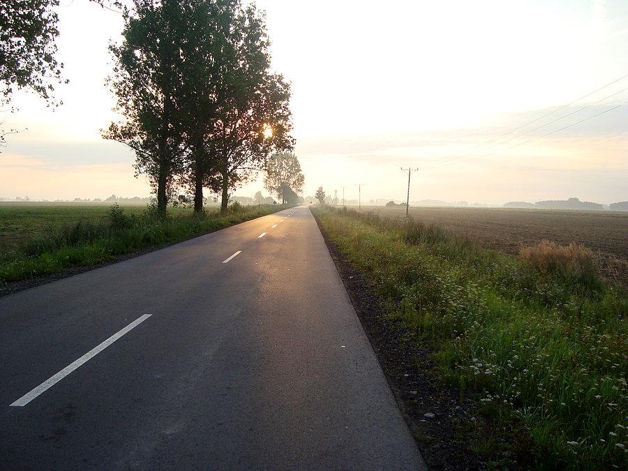 Trasa z Dobrzycy