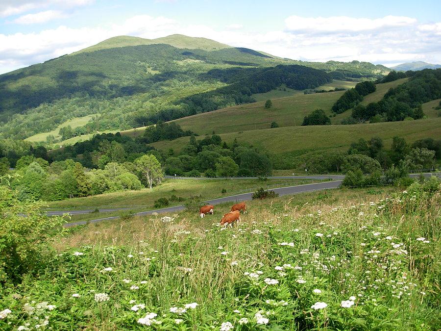 Bieszczady trasa na ustrzyki górne