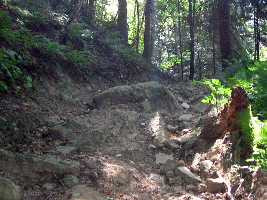 Prawie jak rock garden
