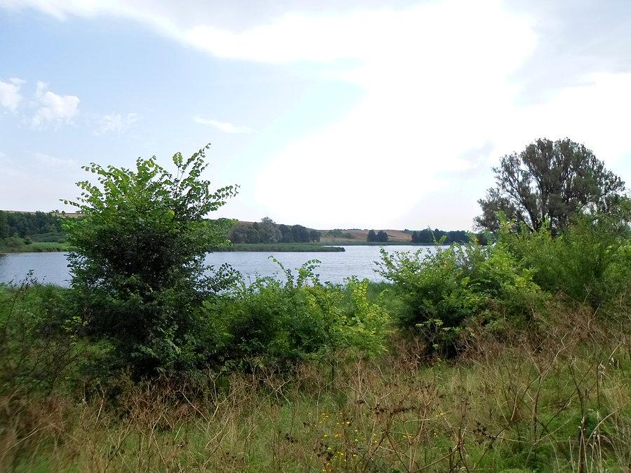 Jeziorka Wronczyńskie