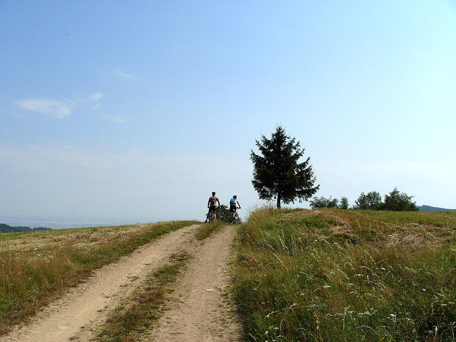 Zbuntowana dwójka już ma pierwsze czarne myśli aby zostawić Feniksa