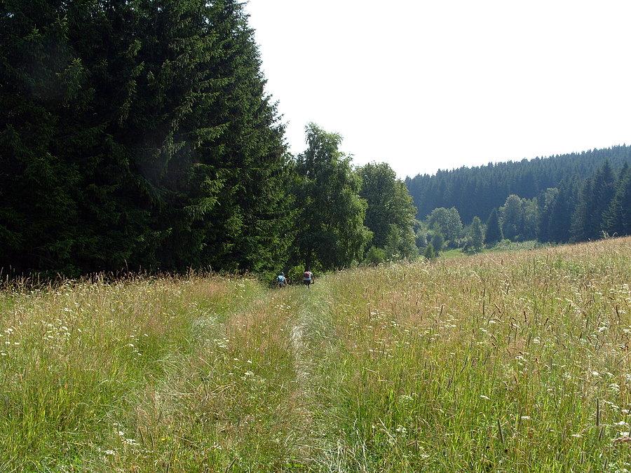 Ubaw po pachy ;)), nie to trawa po pachy biczowanie powyżej 30km/h zapewnione