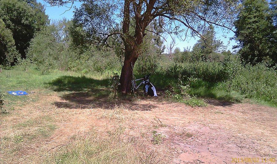 Pod wierzbą, Kule Liswarta