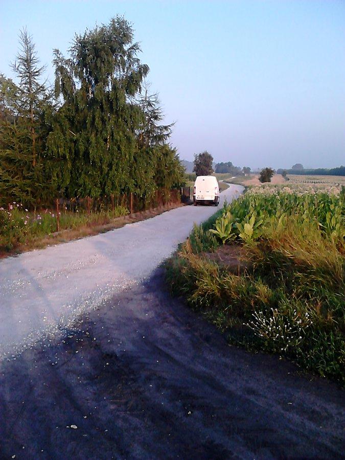 Tu wysypana jasnym żwirkiem