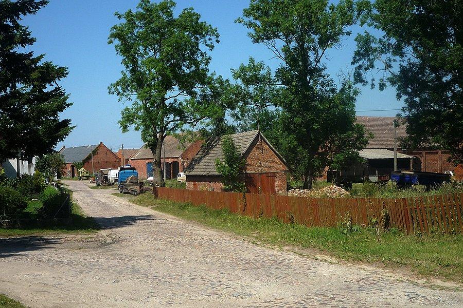 Zabudowania wsi Trzebusz
