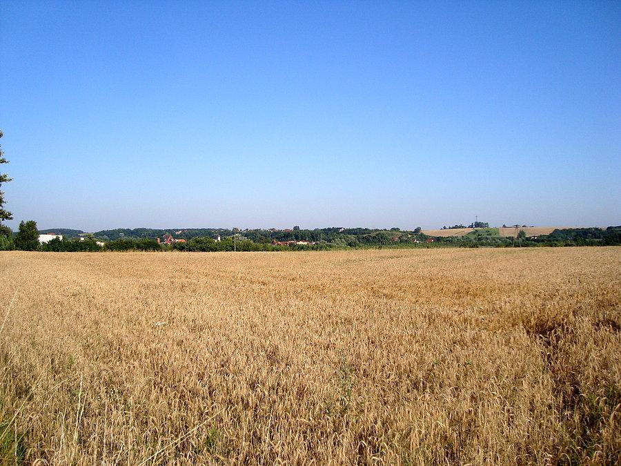 Panorama Dolska